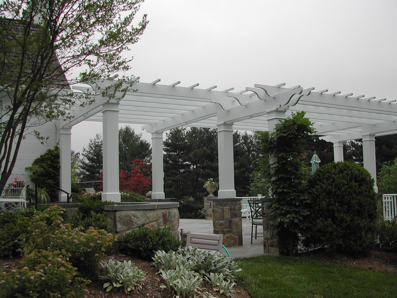 Pergola framing seen from below