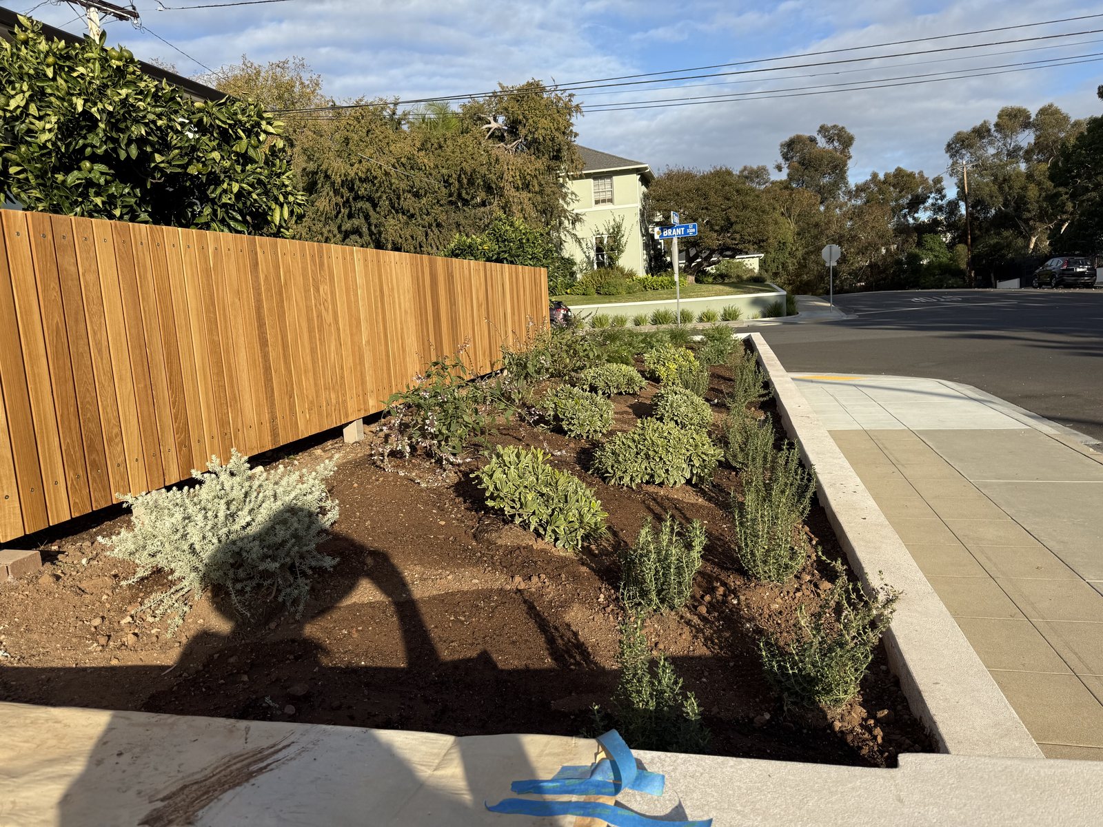 Plantation vs. Genuine Teak for Millwork: Origin, Grade, and the Paperwork That Travels