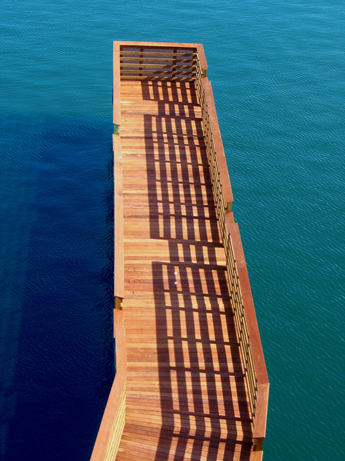 Why Some Coastal Decks Rot in Eight Years and Others Last Forty: The Wood Science Behind Longevity in Salt Air